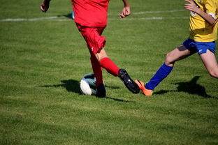 AYX体育-比利时男篮在欧洲预赛中坚持不懈，目标奥运荣誉，比利时男子篮球队