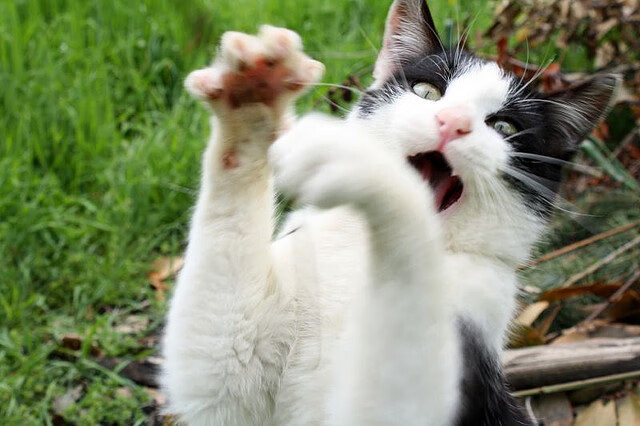 爱游戏中国官方登录入口网站-中国女足备战奥运会，信心满满，中国队女足奥运会