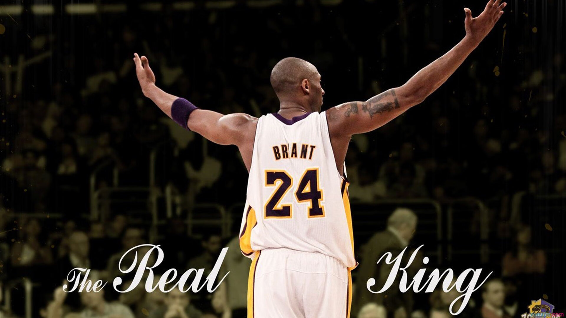 AYX GAMING-字母哥统治篮下雄鹿再获大胜，字母哥和雄鹿签约了吗